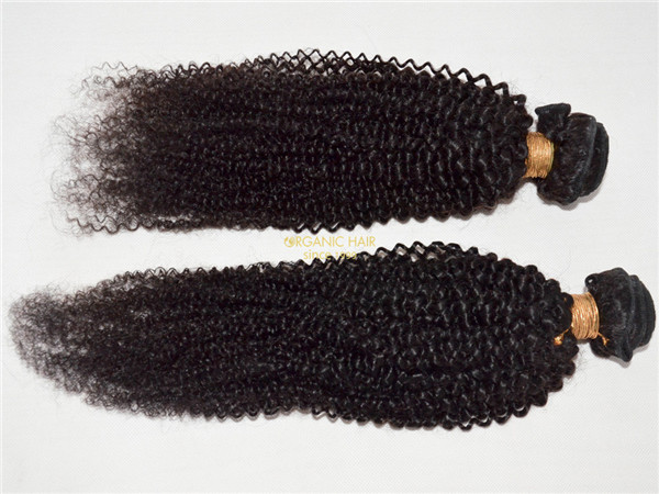 Wholesale 100 human hair extensions